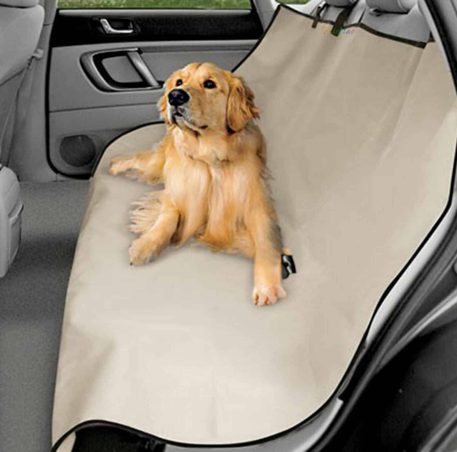 Coprisedile Animali Domestici Barriera Auto Animali Domestici Maglia Cani  Divisorio Auto Rete Di Sicurezza Viaggi Allaperto Isolamento Rete Sedile  Posteriore Barriera Di Protezione Continua A Guidare Prodotti  SicuriL2030916 Da 2,46 €